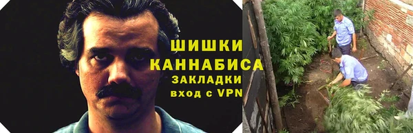 ГАЛЛЮЦИНОГЕННЫЕ ГРИБЫ Новодвинск