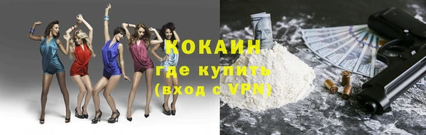 дживик Новозыбков