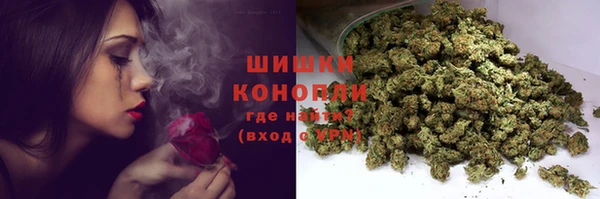 дживик Новозыбков