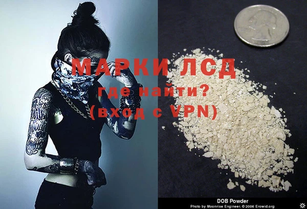 PSILOCYBIN Няндома