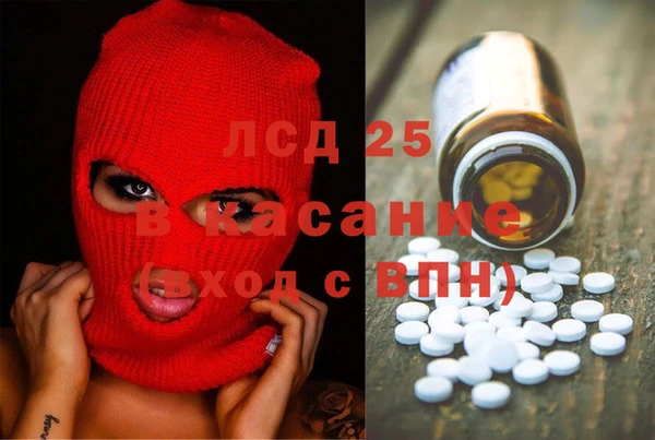 ГАЛЛЮЦИНОГЕННЫЕ ГРИБЫ Новодвинск
