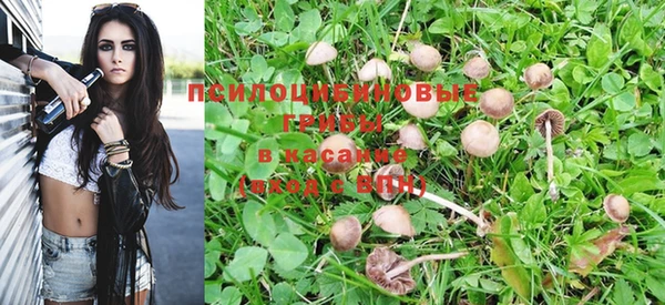 дживик Новозыбков